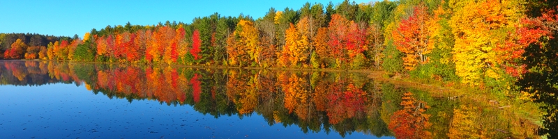 Fall Color in Atlanta Michigan